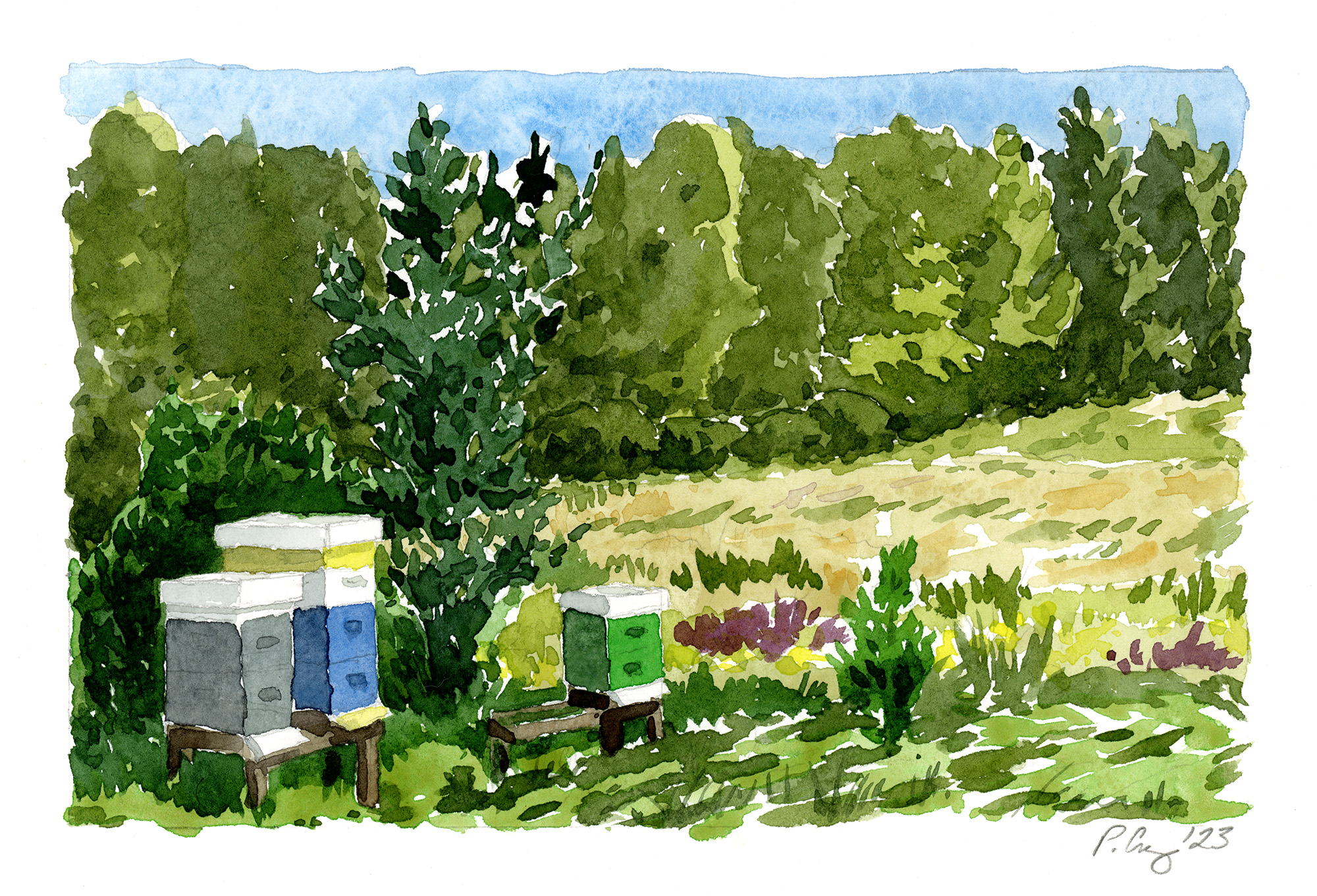 South Windham Bee Hives